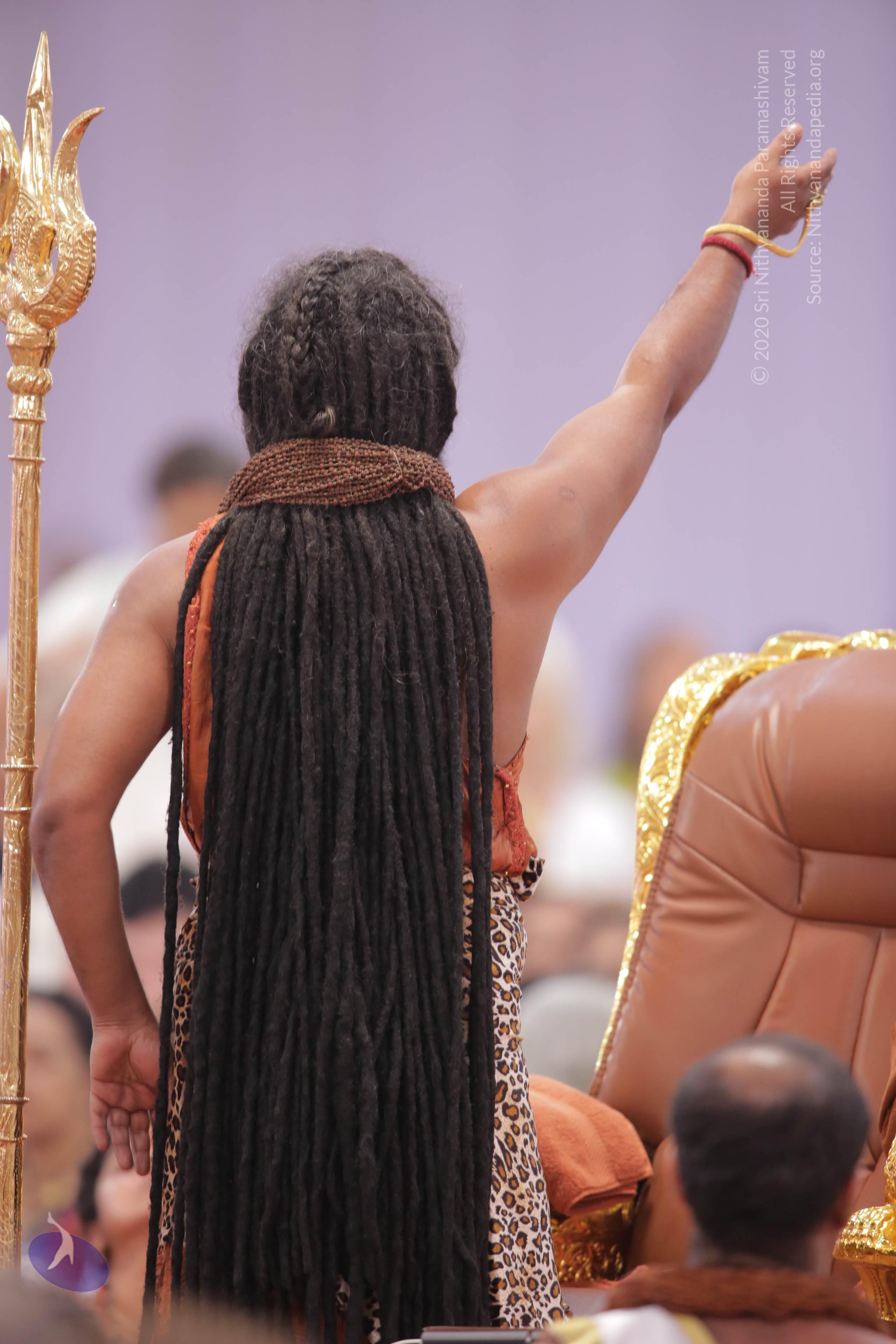 20161204_Photo_1005_G28A3862_CMP_WM